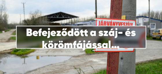 Befejeződött a száj- és körömfájással fertőzött telepek felszámolása
