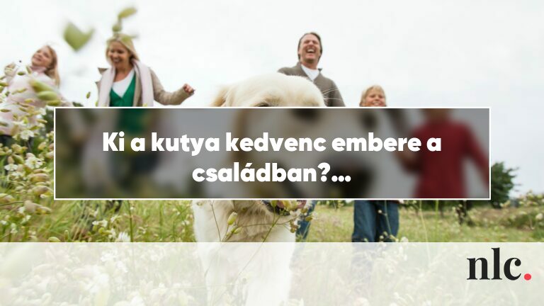Ki a kutya kedvenc embere a családban?